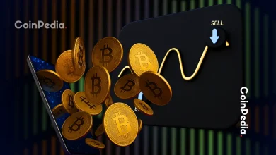 黄金抛物线式上涨，比特币价格飙涨至11.4万美元以上；牛市隐患重重？